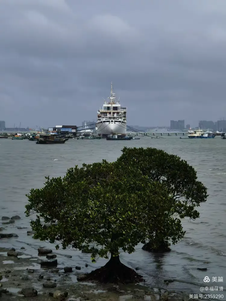 湛江.金海岸观海长廊